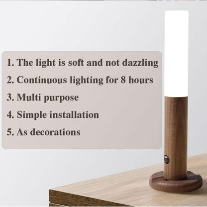 Portable USB LED motion sensor light